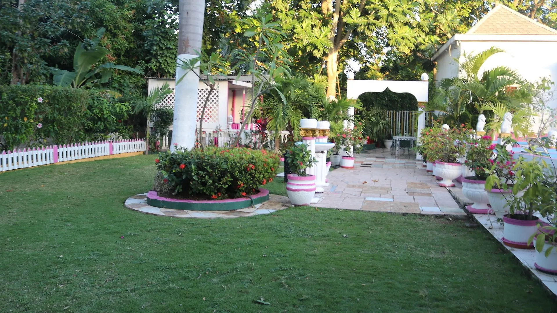 Hibiscus Hostel Montego Bay